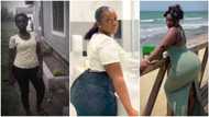 Curvy lady with beautiful body shape shares her throwback photo, men react to viral video