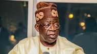 2023: Why northern politicians may betray Bola Tinubu - APC chieftain warns