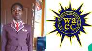WAEC 2025 result of student who almost dropped out surfaces online, shows her grades in 9 subjects