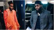 “New cat with Grammy”: Fans react as Burna Boy finally breaks silence after Davido’s controversial video