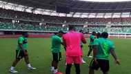AFCON 2019: Iwobi, Ndidi, 18 other Nigerian stars who will be making debut