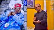 2023 presidency: Peter Obi speaks on relationship with Tinubu, reveals why APC candidate should not be elected