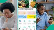 5 things to know about NRC Ponzi scheme that recently crashed, leaving many Nigerians in tears