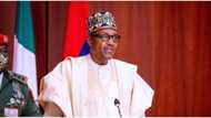 President Buhari borrows over N10 billion daily in last six years