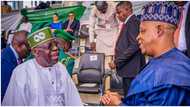 Details emerge as FG sets to establish tech hubs in 7 states