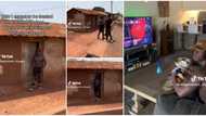 "How come?": Man shows off the beautiful inside of his mud house, video of its PS5 and furniture wows people