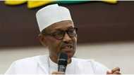 Senate receives N4.89 trillion loan request from President Buhari