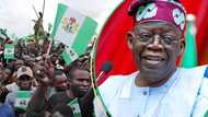 Tension as angry youths tear down Tinubu’s billboards in Yobe, details emerge