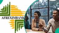 Afreximbank opens 2026 internship scheme for Nigerians, Africans, offers $1,000 monthly stipend