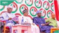 "Why PDP may not have presidential candidate in 2027": Primate Ayodele releases fresh prophecy