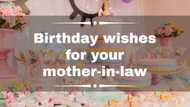 120+ Happy birthday wishes for mother-in-law you can use