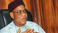 Da walakin: Bayan faduwar Kwankwaso, shugaban NNPP ya yi murabus, ya fadi dalili