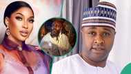 Tonto Dikeh sparks reactions with her review of Jagun Jagun movie, Femi Adebayo calls for calm