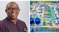 Peter Obi attends commission of Dangote refinery in Lagos