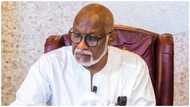 Executive Order: You lack knowledge of public governance, Akeredolu replies PDP