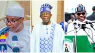 2023: Confusion as Nigerians in Diaspora endorse Tinubu, Tambuwal, Wike to succeed Buhari