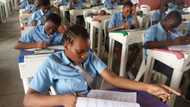 FG gives fresh updates on school resumption