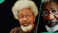 Soyinka at 90: Five hidden facts you should know about Nigerian Nobel Prize winner