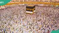 Hajj 2024: Over 900 deaths recorded, as families search for loved ones