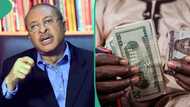 How CBN contributed to tumbling naira value, Peter Obi's ally Utomi speaks