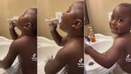 "This boy is a star": Toddler uses soap as microphone to sing passionately in bathroom, mum films him
