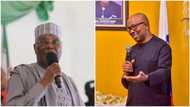 2023 presidency: Why Peter Obi cannot step down for Atiku revealed