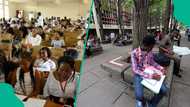 Who gets what? How universities, polytechnics, colleges will share N6.45bn TETFUND intervention