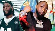 "This is a big disrespect": Backlash as Burna Boy comes for Davido for the 2nd time in 24 hours