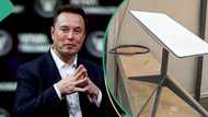 MTN, Airtel, others speak on hike in Elon Musk's Starlink’s internet subscription prices