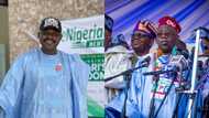 APC chieftain to Tinubu: Nigerians truly came out to vote for you