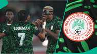 AFCON 2025: NFF releases statement after Lookman-Osimhen heated exchange