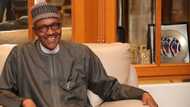 Yadda na lashe zaben shugabancin kasa na 2015 - Buhari