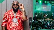 "Davido return our money": Oyinbo fans call out singer for cancelling his Europe album tour