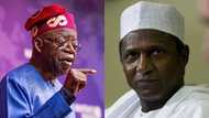 "Zan Yi Koyi Da Umaru Musa Yar'adua a Matsayin Shugaban Kasa", Bola Tinubu