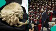The paradox of professional decorum in law, by Ezinwanne Onwuka