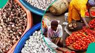 Healthy food becomes luxury as cost rises across Nigeria consuming most of minimum wage
