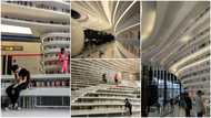 Tianjin Binhai: Photos and video show Chinese big library with 1.2 million books and tall shelves