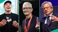 Elon Musk leads as new list shows highest-paid CEOs globally