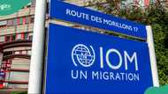 Public holiday: IOM Nigeria announces closure of migration health centres for Eid