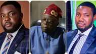 2023 pesidency: Accord Party's Prof. Imumolen urged to step down for Tinubu