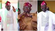 From opposition to leadership: A look back at Tinubu's political journey