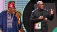 Tinubu reacts to Peter Obi’s attack on Supreme Court, reveals why Nigerians rejected LP candidate