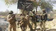 How top Boko Haram commander was killed in Borno