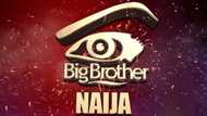 BBNaija news today: Everything you need to know about what recently happened in the house