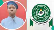 2025 UTME top scorer of Imo school scores 347 as 7 other students score high, their results emerge