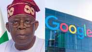 Jar miyan matasa: Tinubu zai sama wa 'yan Najeriya aiki a Google, ya fadi ta yaya