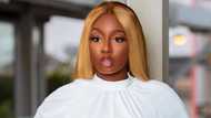 Tolani "Tolanibaj" Shobajo: BBNaija contestant profile, what is she up to now?