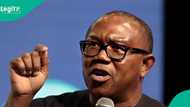 Peter Obi reacts to proposed salary increase for political office holders