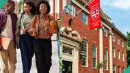 Harvard warns international students to enter US before September 15