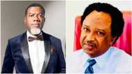 Naira redesign: PDP chieftain slams powerful Arewa senator, other Buhari's critics over new notes colours